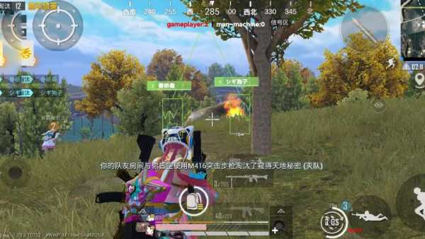 和平精英DDYS辅助